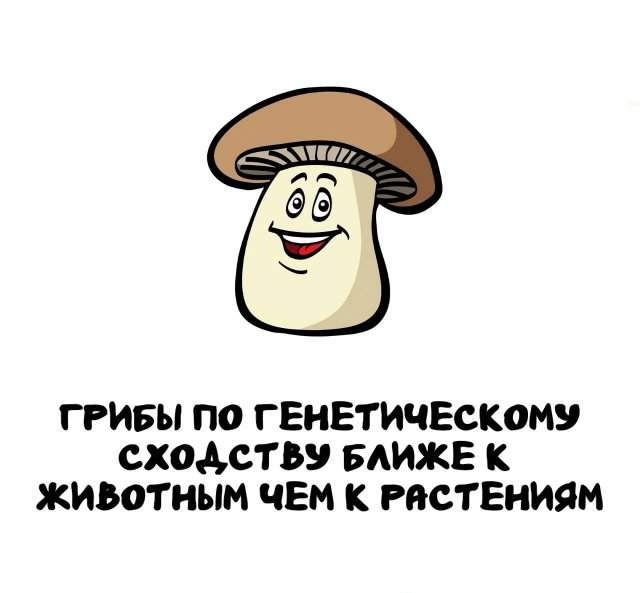 Интересные факты на все случаи жизни Интересные факты на все случаи жизни