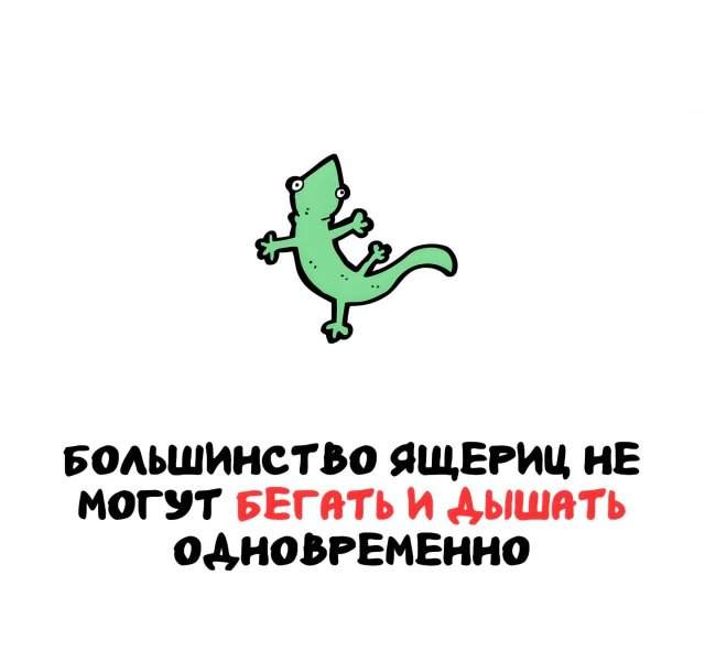 Интересные факты на все случаи жизни Интересные факты на все случаи жизни