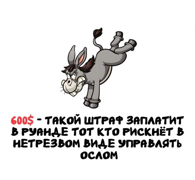 Интересные факты на все случаи жизни Интересные факты на все случаи жизни