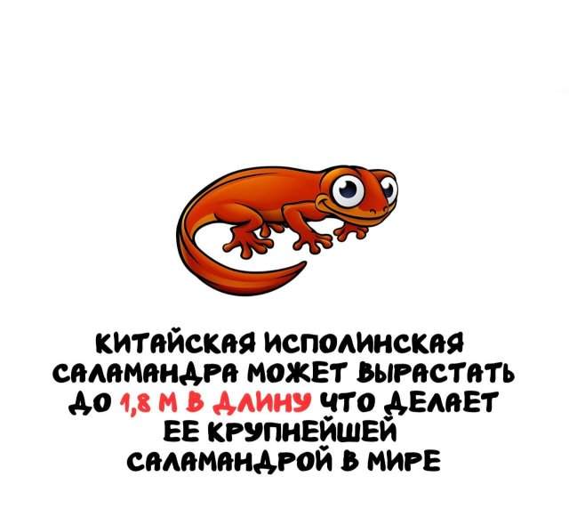 Интересные факты на все случаи жизни Интересные факты на все случаи жизни
