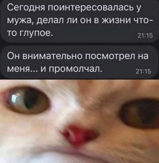 Лучшие шутки и мемы из Сети - 27.05.2025 Лучшие шутки и мемы из Сети - 27.05.2025