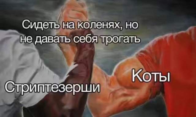 Смешные мемы - 28.05.2025 Смешные мемы - 28.05.2025