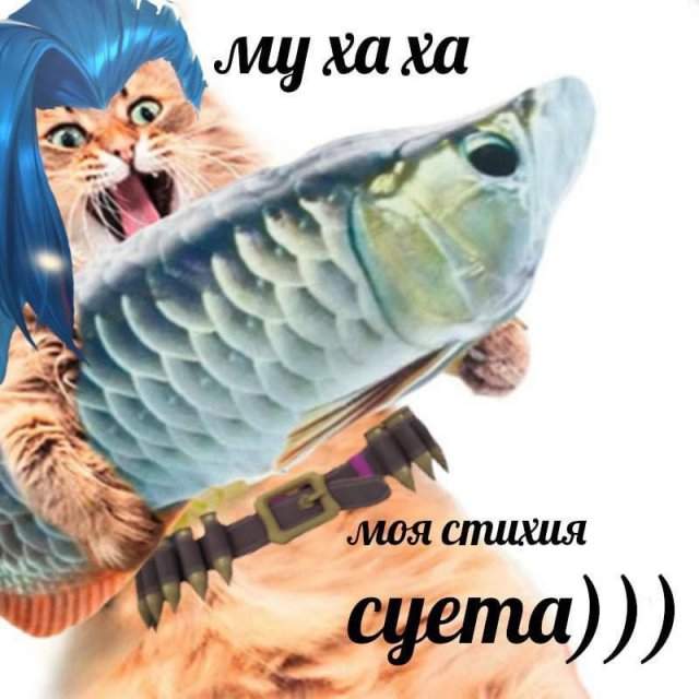 Смешные мемы - 28.05.2025 Смешные мемы - 28.05.2025