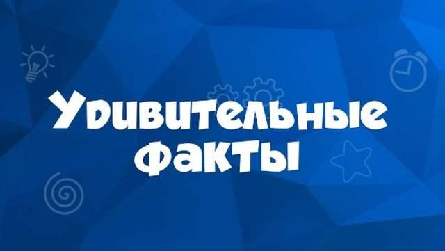 30 интересных фактов о повседневных вещах