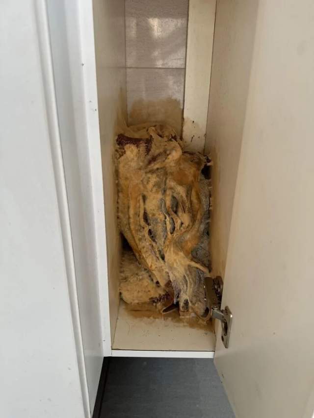 Нашёл в ванной комнате. Полотенца в плесени Нашёл в ванной комнате. Полотенца в плесени