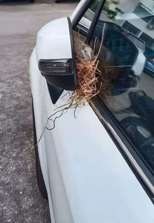 Что теперь делать? Что теперь делать?
