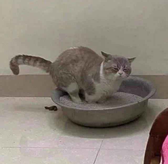 Мне так удобно