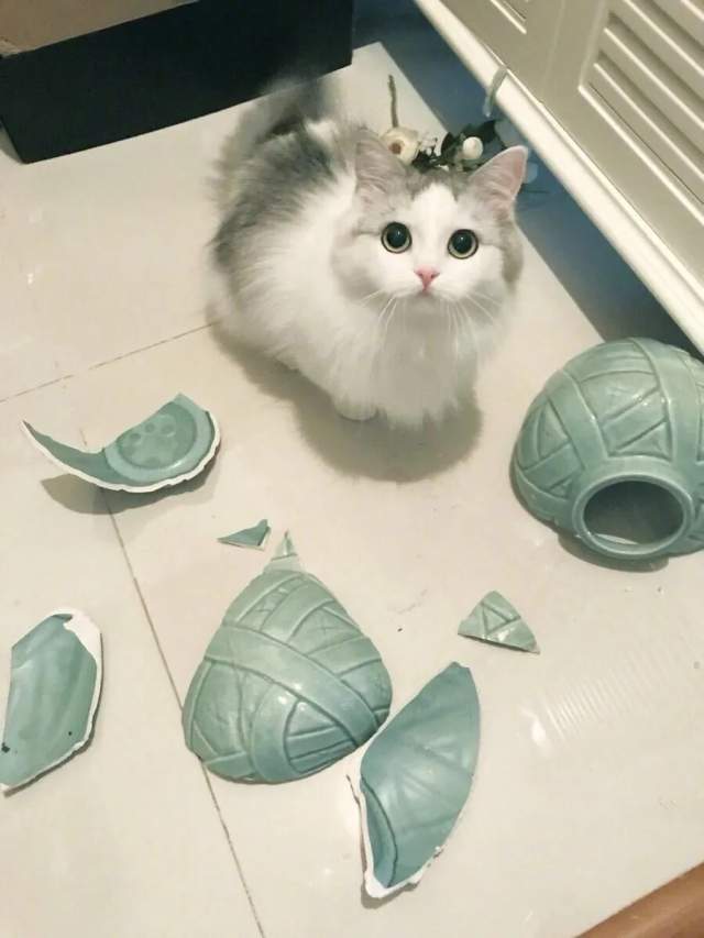 Эти глаза не могут врать