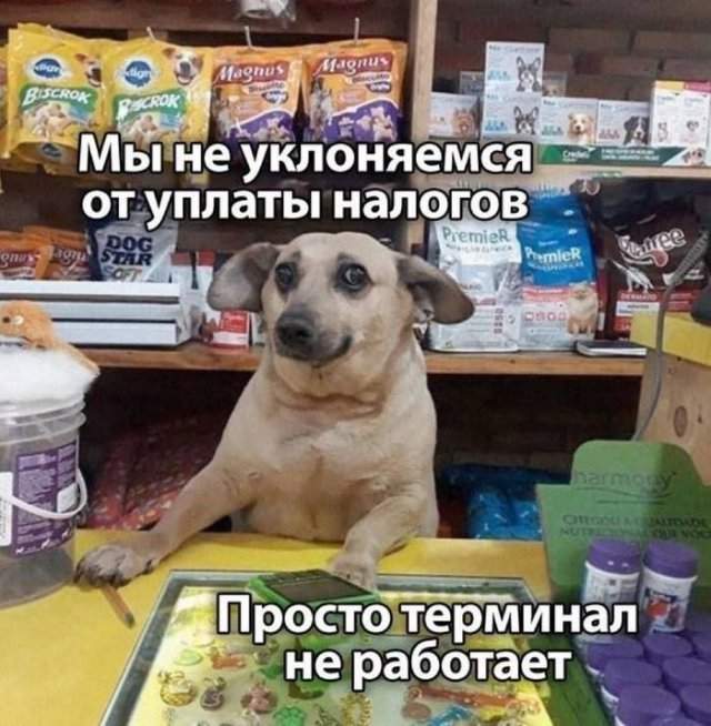 Лучшие шутки и мемы из Сети - 28.05.2025 Лучшие шутки и мемы из Сети - 28.05.2025