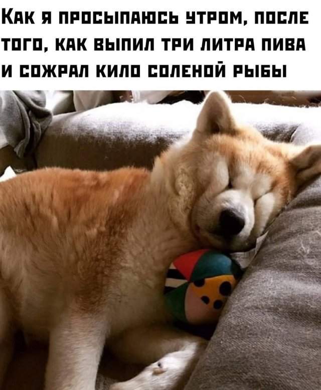 Лучшие шутки и мемы из Сети - 28.05.2025 Лучшие шутки и мемы из Сети - 28.05.2025