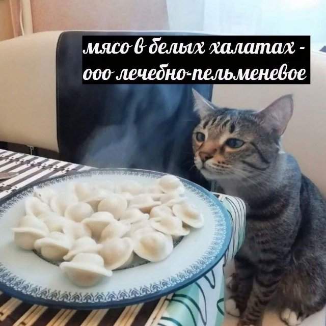 Смешные мемы - 29.05.2025