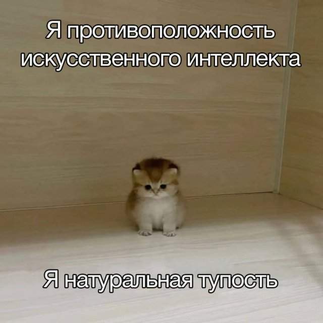 Смешные мемы - 29.05.2025