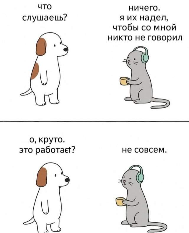 Смешные мемы - 29.05.2025