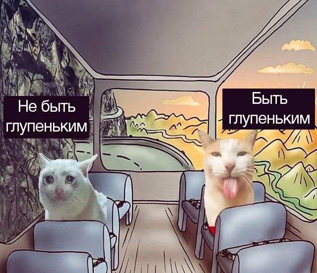 Смешные мемы - 29.05.2025