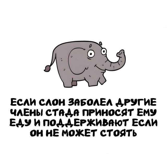 Интересные факты на все случаи жизни