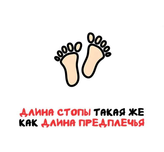 Интересные факты на все случаи жизни