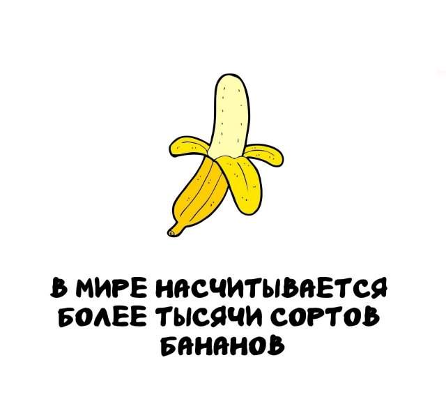 Интересные факты на все случаи жизни