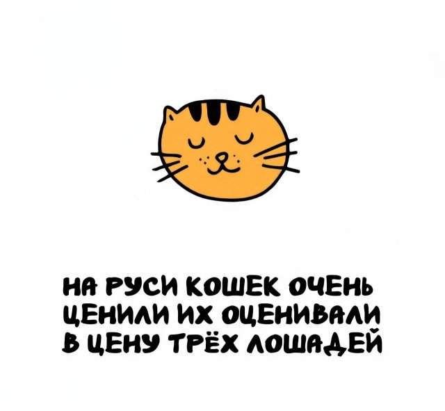 Интересные факты на все случаи жизни