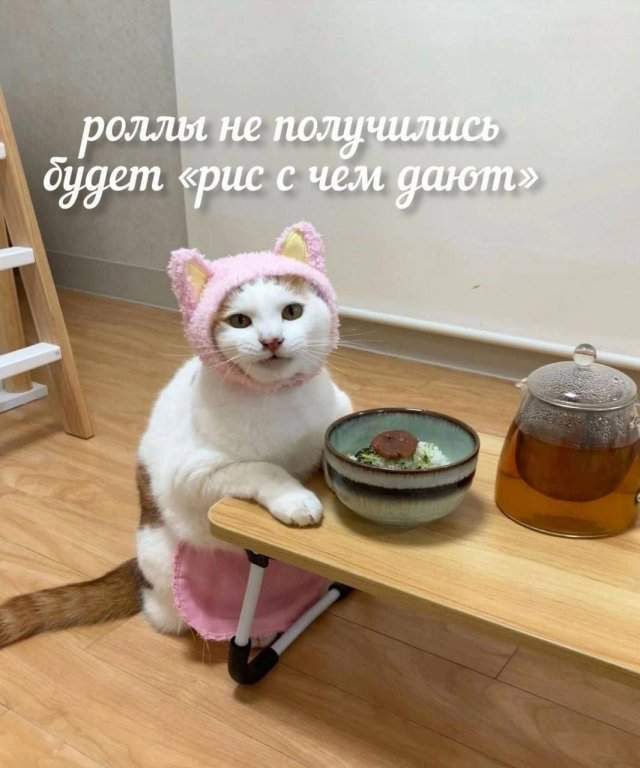 Смешные картинки - 29.05.2025
