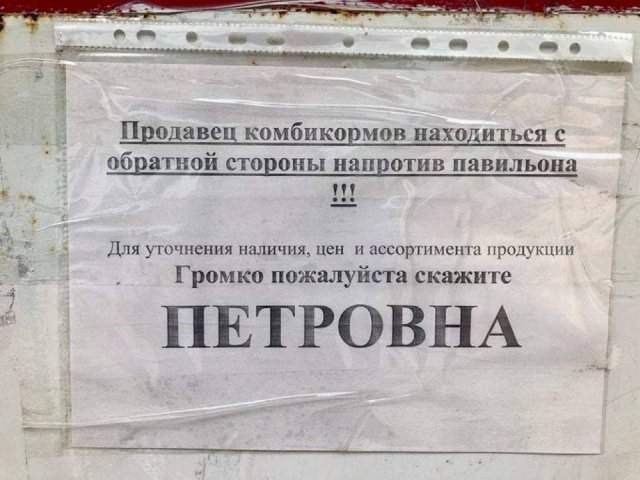 Смешные картинки - 29.05.2025 Смешные картинки - 29.05.2025
