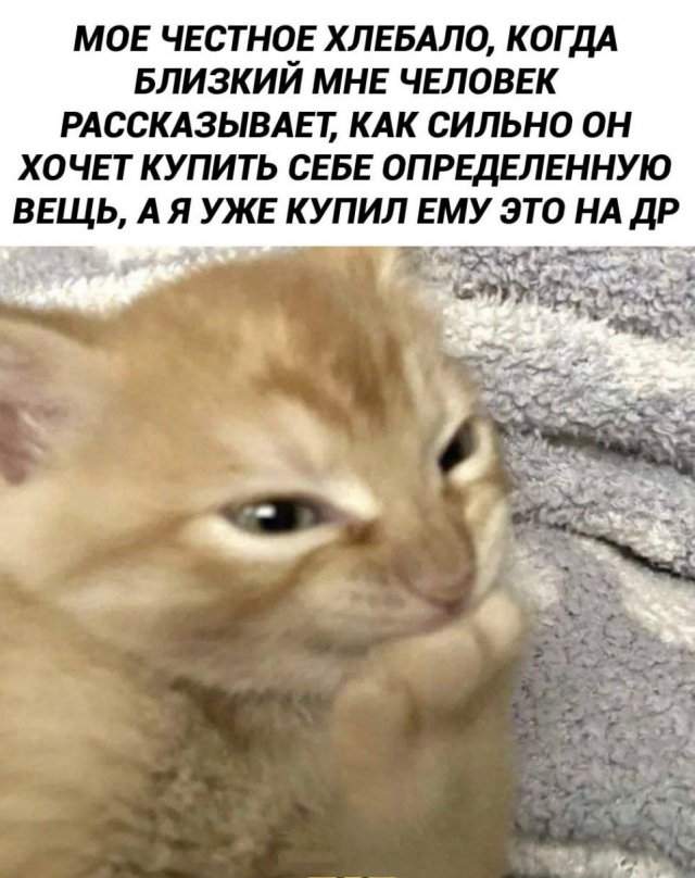Смешные картинки - 29.05.2025 Смешные картинки - 29.05.2025