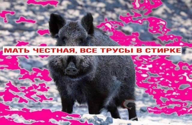 Смешные картинки - 29.05.2025 Смешные картинки - 29.05.2025