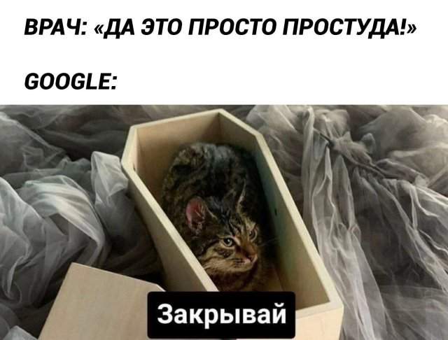 Лучшие шутки и мемы из Сети - 30.05.2025 Лучшие шутки и мемы из Сети - 30.05.2025