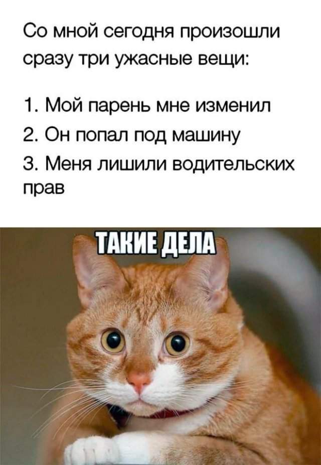 Лучшие шутки и мемы из Сети - 30.05.2025 Лучшие шутки и мемы из Сети - 30.05.2025