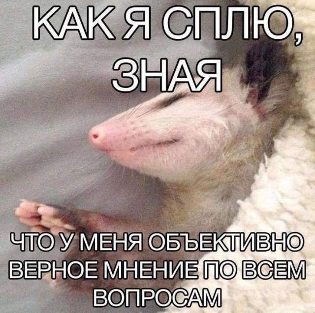 Лучшие шутки и мемы из Сети - 30.05.2025 Лучшие шутки и мемы из Сети - 30.05.2025