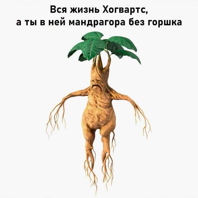 Смешные мемы - 02.06.2025 Смешные мемы - 02.06.2025