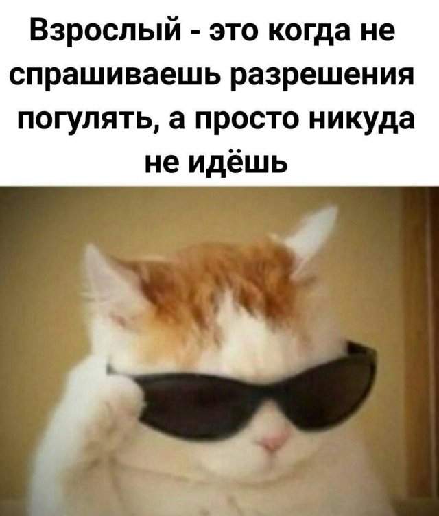 Смешные мемы - 02.06.2025 Смешные мемы - 02.06.2025