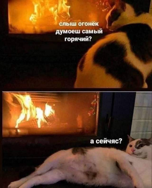 Смешные мемы - 02.06.2025 Смешные мемы - 02.06.2025