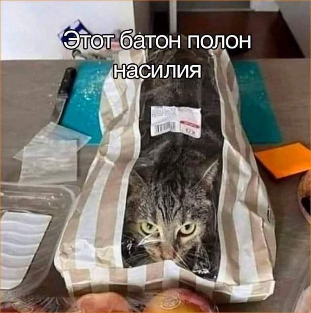 Смешные картинки - 02.06.2025 Смешные картинки - 02.06.2025