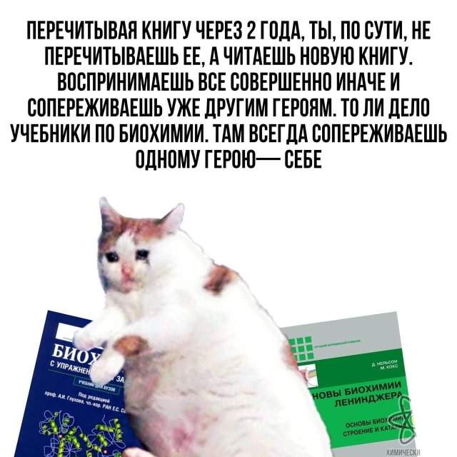 Смешные картинки - 02.06.2025 Смешные картинки - 02.06.2025