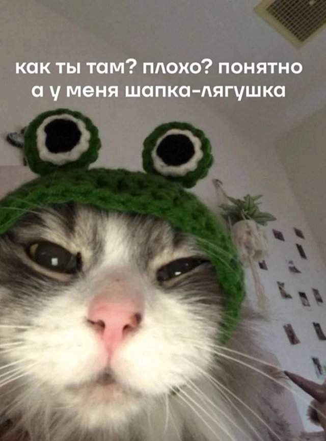 Смешные картинки - 02.06.2025 Смешные картинки - 02.06.2025