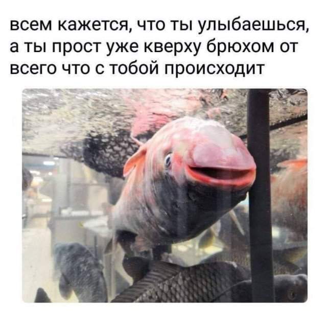 Смешные картинки - 02.06.2025 Смешные картинки - 02.06.2025