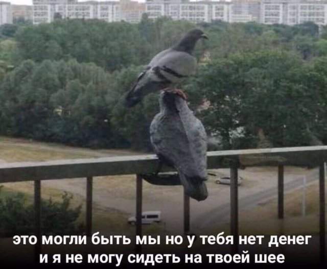 Смешные картинки - 02.06.2025 Смешные картинки - 02.06.2025