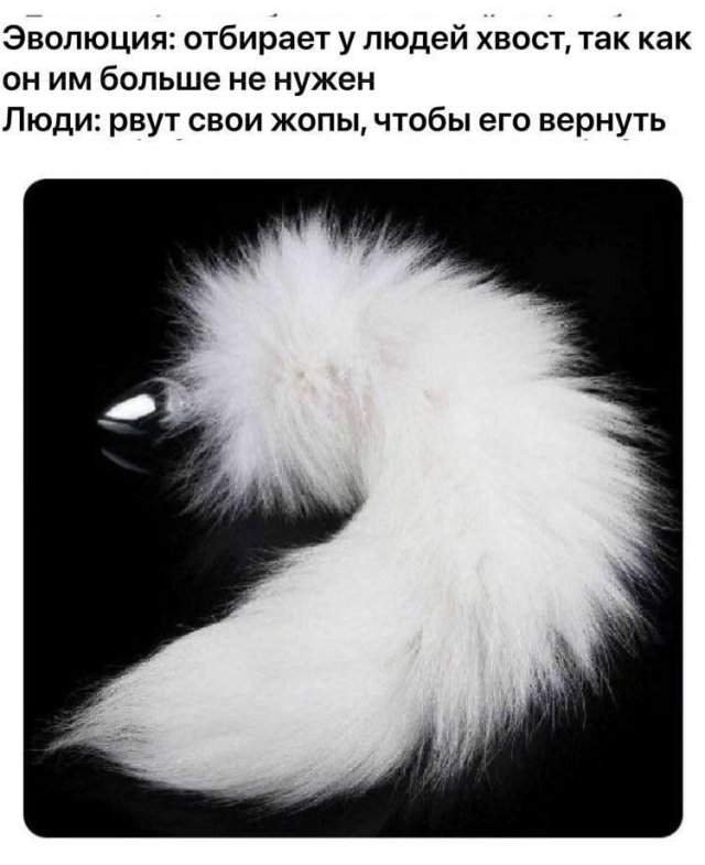 Лучшие шутки и мемы из Сети - 02.06.2025 Лучшие шутки и мемы из Сети - 02.06.2025