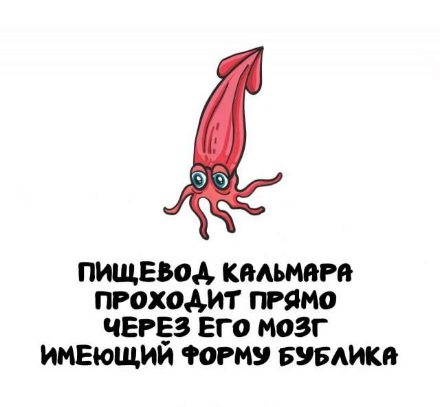 Интересные факты на все случаи жизни