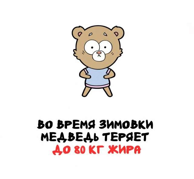 Интересные факты на все случаи жизни Интересные факты на все случаи жизни
