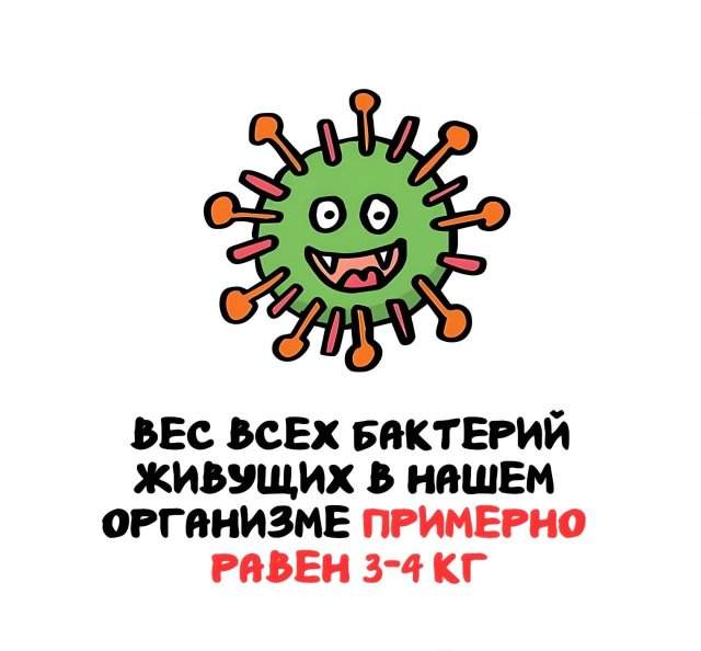 Интересные факты на все случаи жизни Интересные факты на все случаи жизни