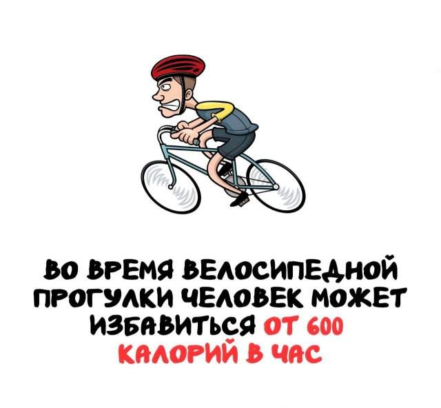 Интересные факты на все случаи жизни Интересные факты на все случаи жизни