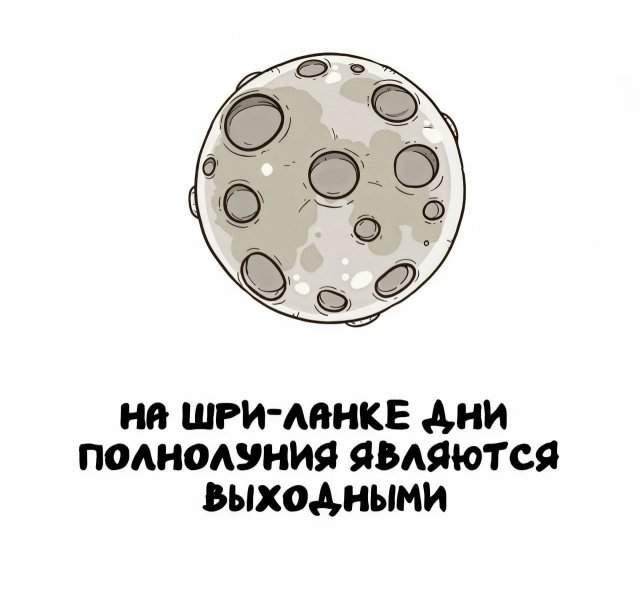 Интересные факты на все случаи жизни Интересные факты на все случаи жизни