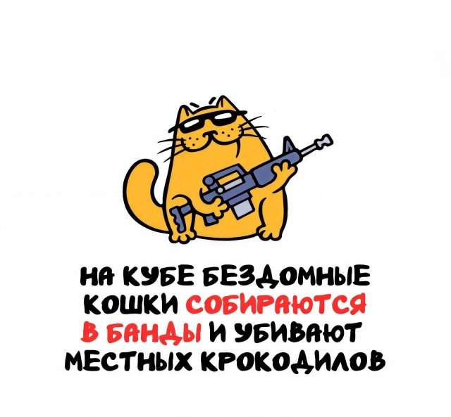 Интересные факты на все случаи жизни Интересные факты на все случаи жизни