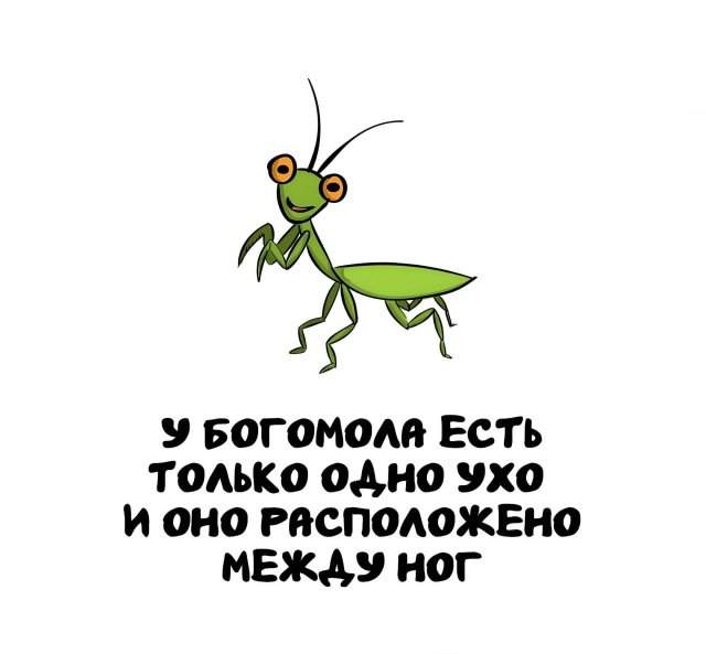 Интересные факты на все случаи жизни Интересные факты на все случаи жизни