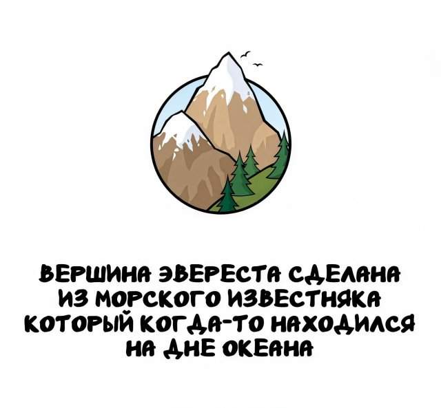 Интересные факты на все случаи жизни Интересные факты на все случаи жизни