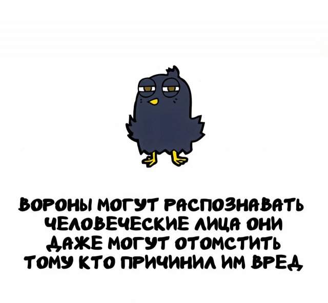 Интересные факты на все случаи жизни Интересные факты на все случаи жизни