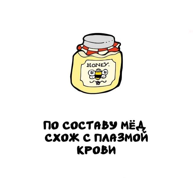 Интересные факты на все случаи жизни Интересные факты на все случаи жизни