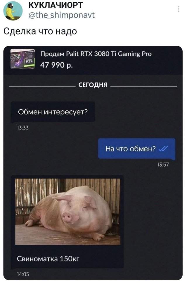 Подборка забавных твитов обо всем