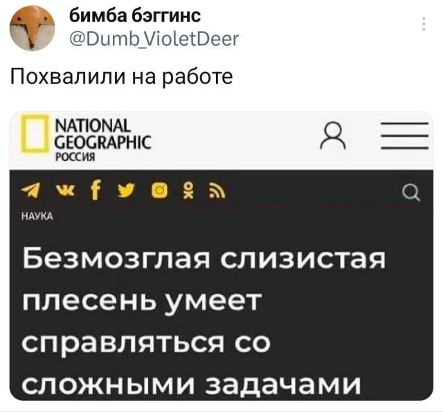 Подборка забавных твитов обо всем Подборка забавных твитов обо всем